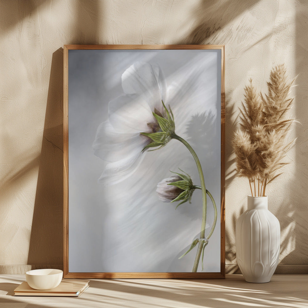 Heavenly Cosmos Poster och Canvastavla