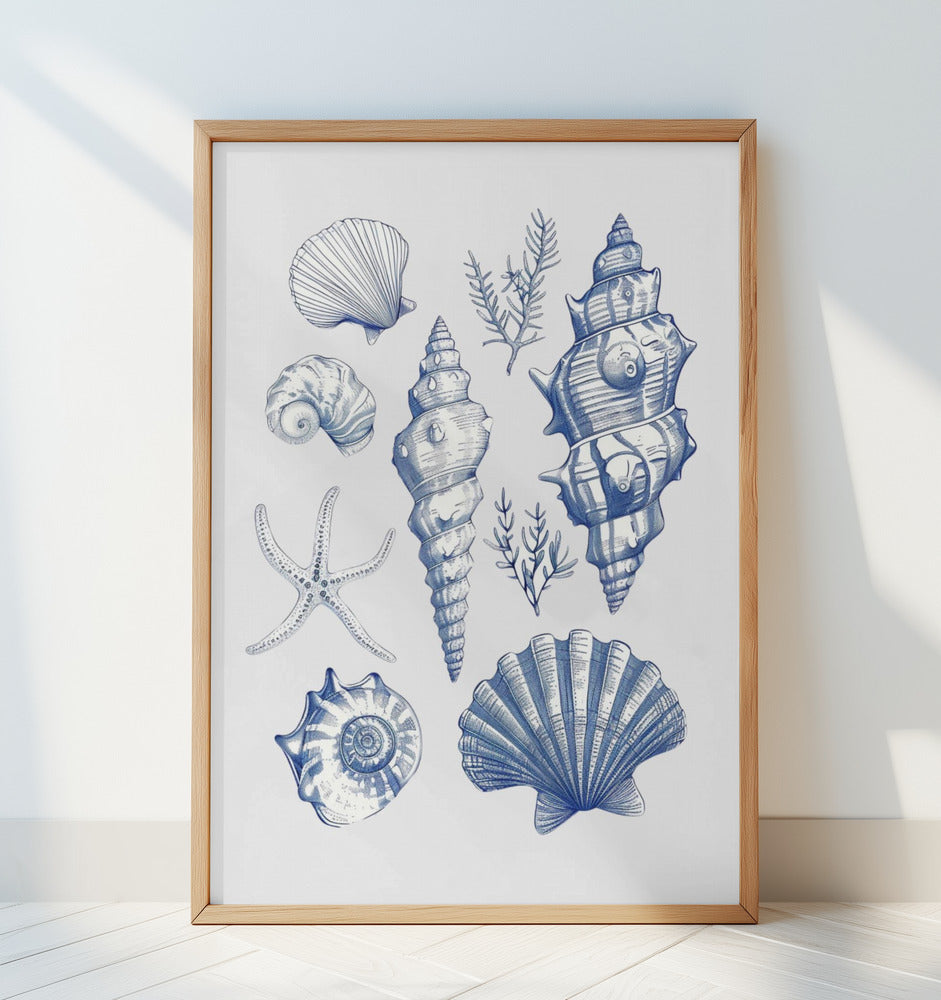 11x14 Shell Collage Poster och Canvastavla