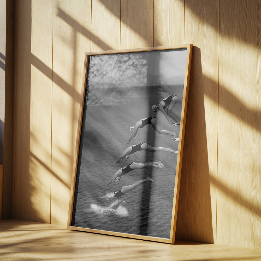The beauty of diving Poster och Canvastavla