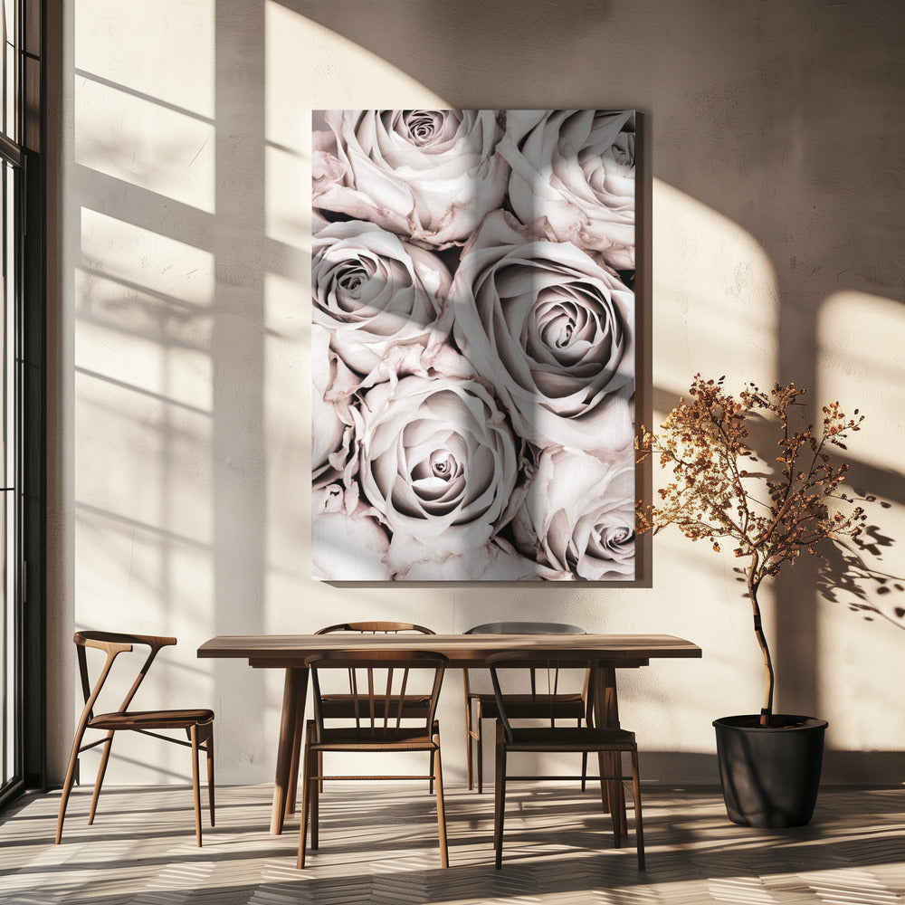 Grey Roses No 01 Poster och Canvastavla