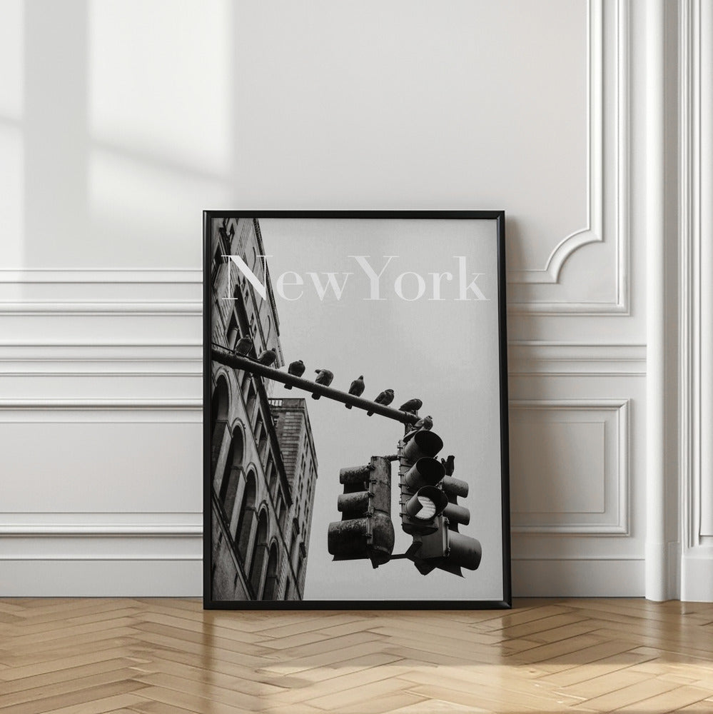 NYC Doves Poster och Canvastavla