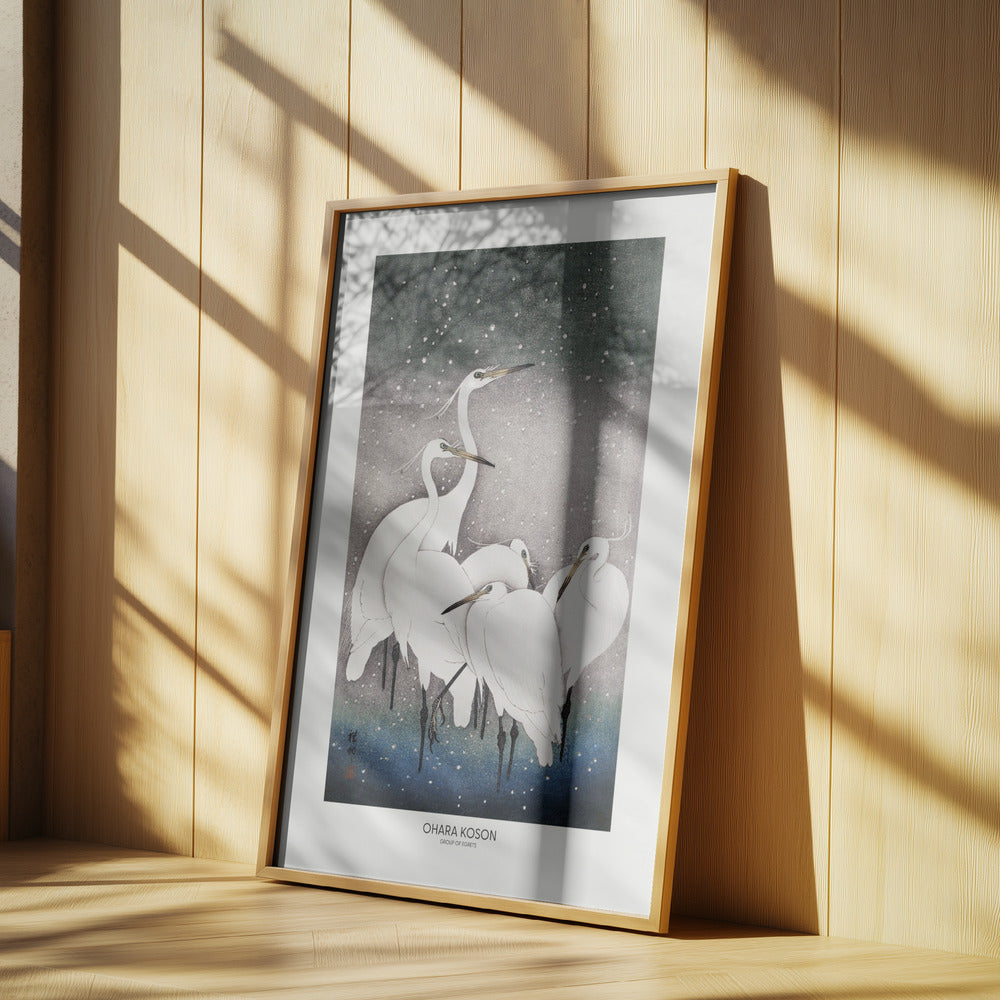 Group Of Egrets Poster och Canvastavla