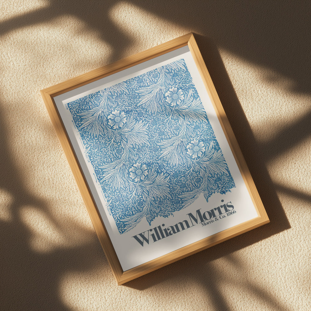 Marigold Poster och Canvastavla