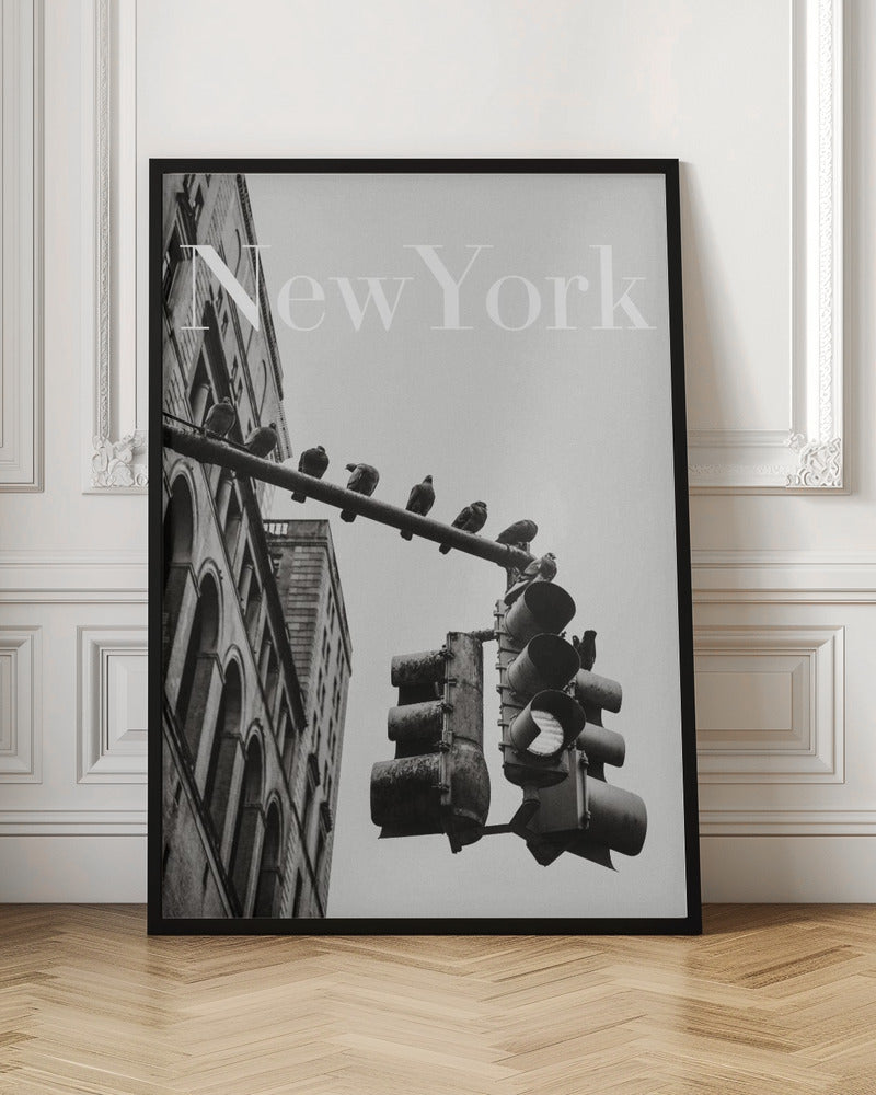 NYC Doves Poster och Canvastavla