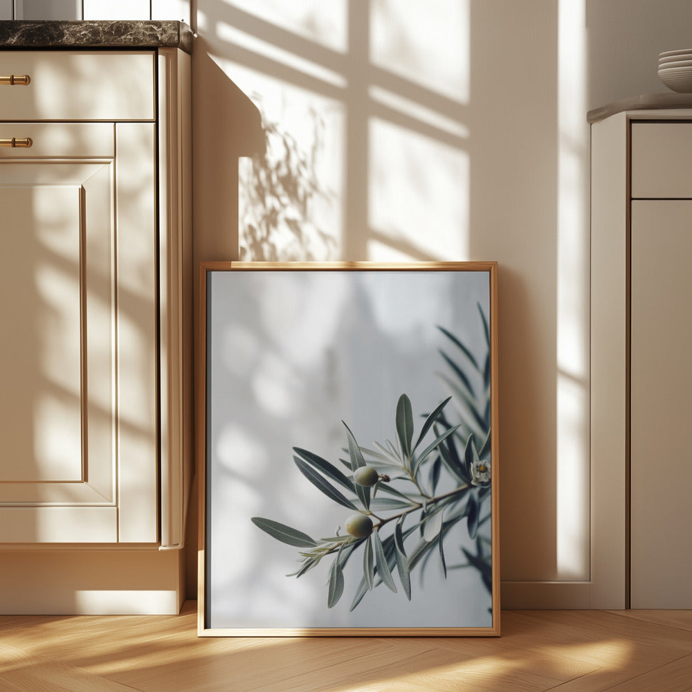 Olives Poster och Canvastavla