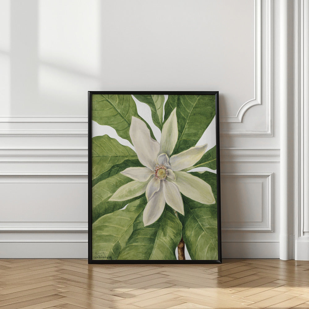 Umbrella Tree (1932) Poster och Canvastavla