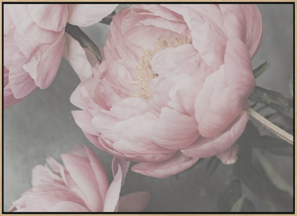 01643 Poster och Canvastavla