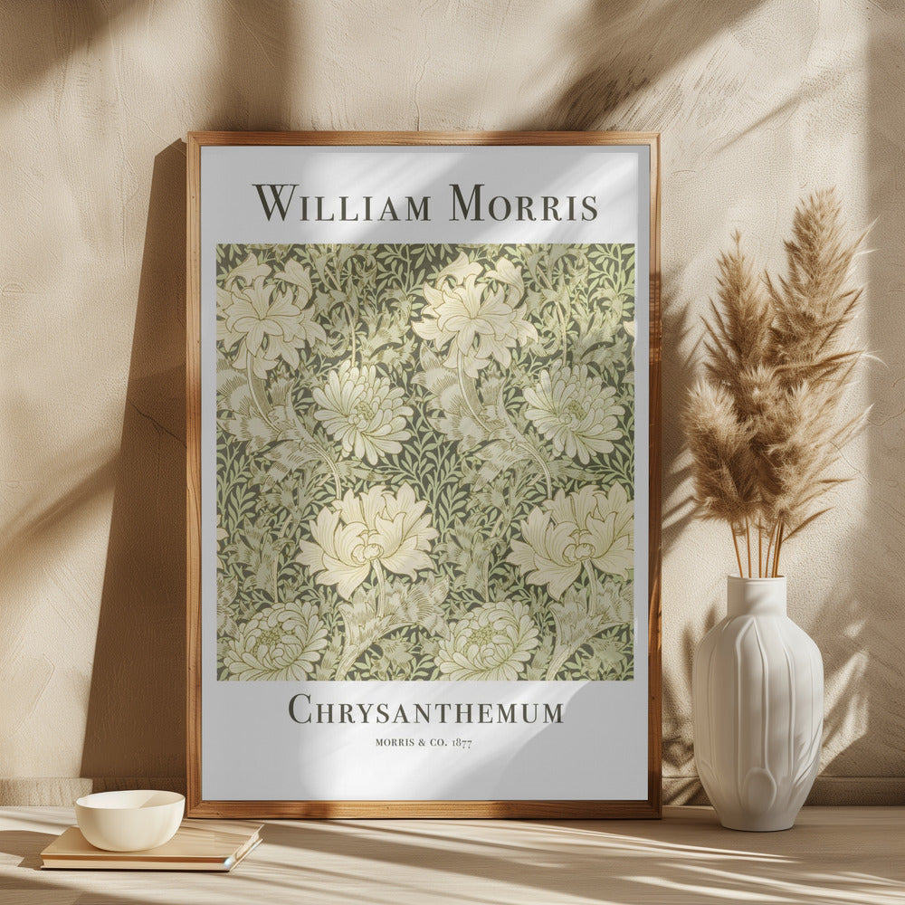 Chrysanthemum Poster och Canvastavla