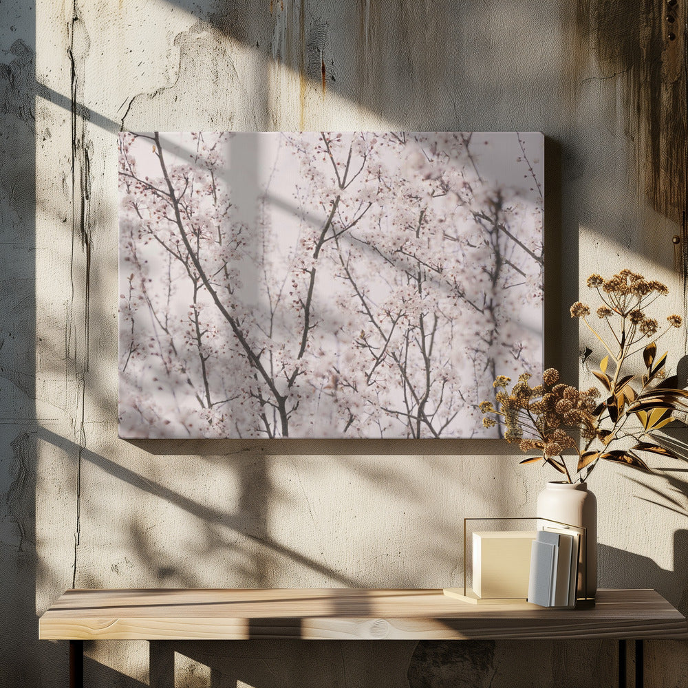 Spring blossoms Poster och Canvastavla