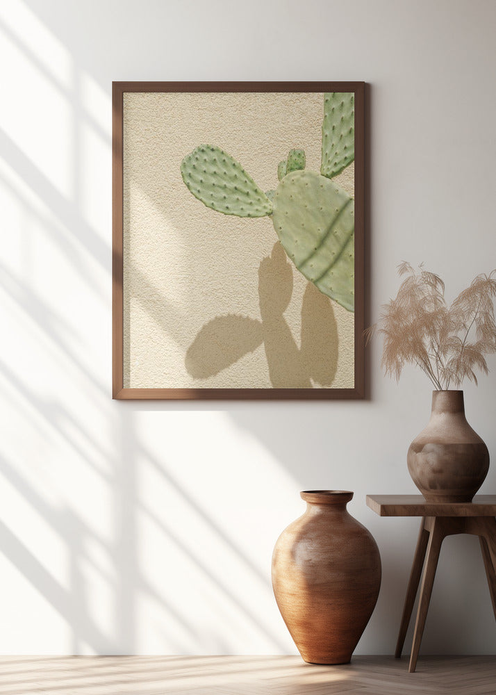 Cacti Shadowplay Poster och Canvastavla