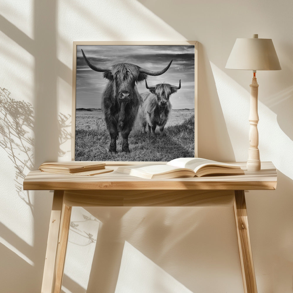 Highlands Poster och Canvastavla