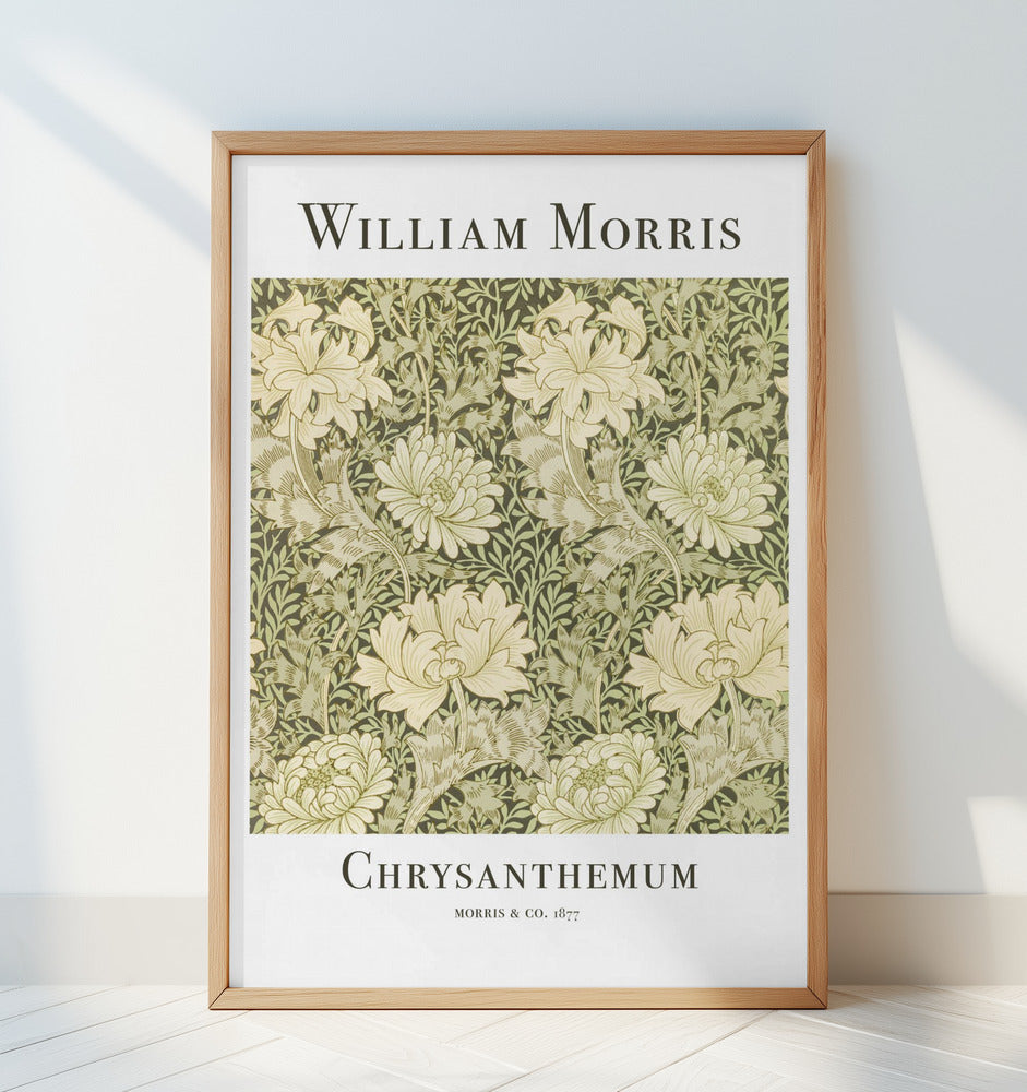 Chrysanthemum Poster och Canvastavla