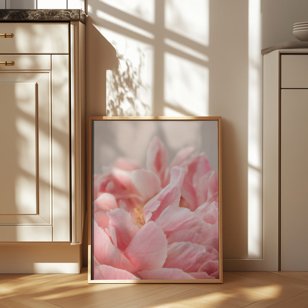 Peony 4 Poster och Canvastavla
