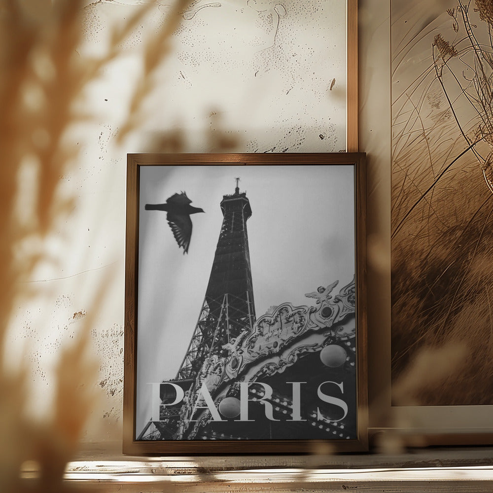 Paris Dove Poster och Canvastavla