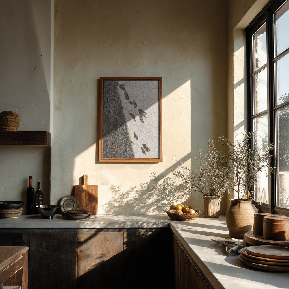 Botanical shadow on the wall Poster och Canvastavla