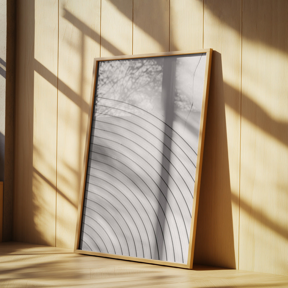 Mud Texture 07 Poster och Canvastavla