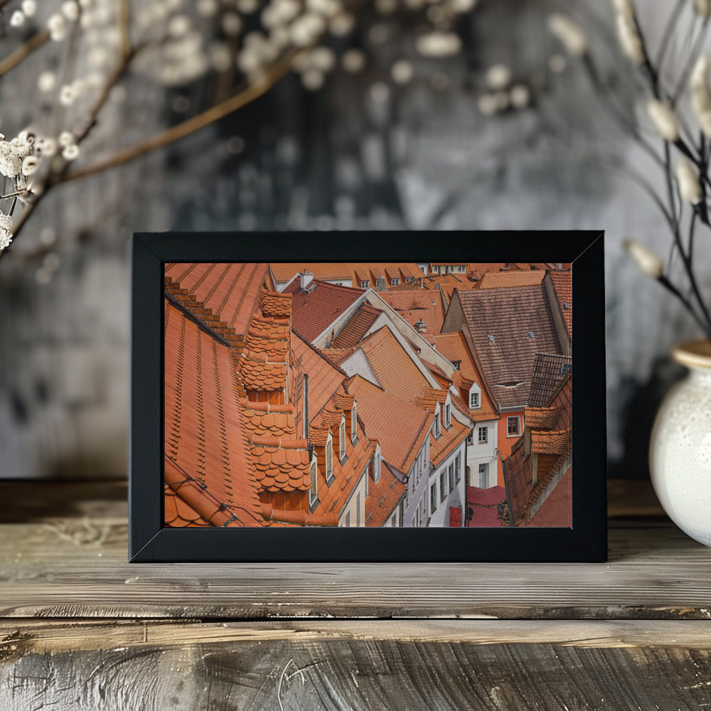 The color of these roofs... Poster och Canvastavla