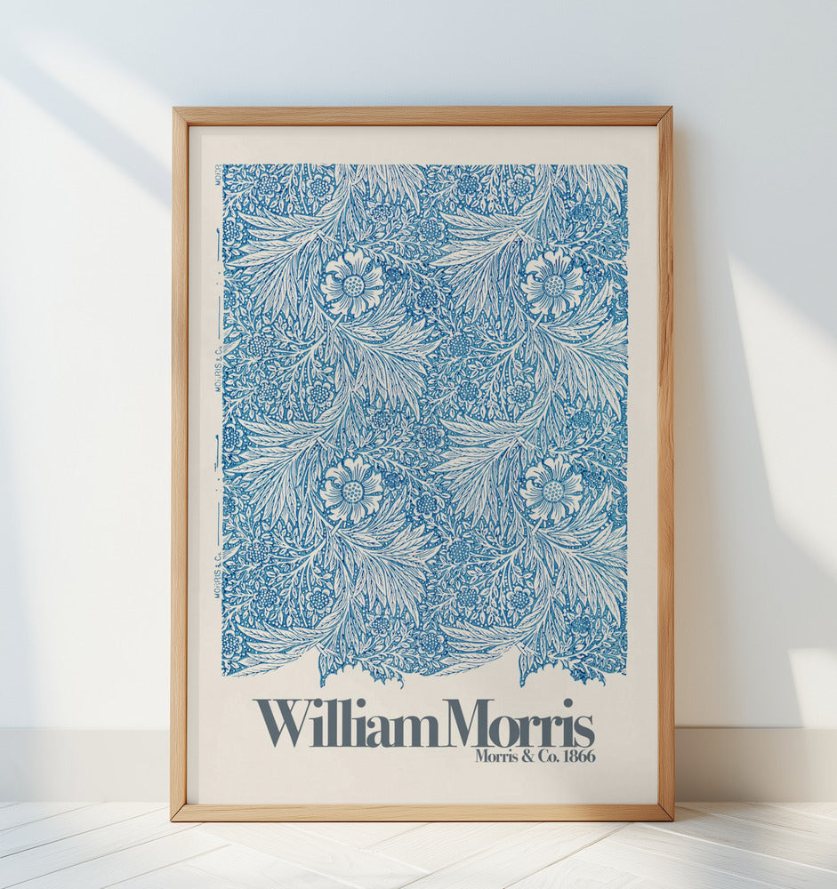 Marigold Poster och Canvastavla