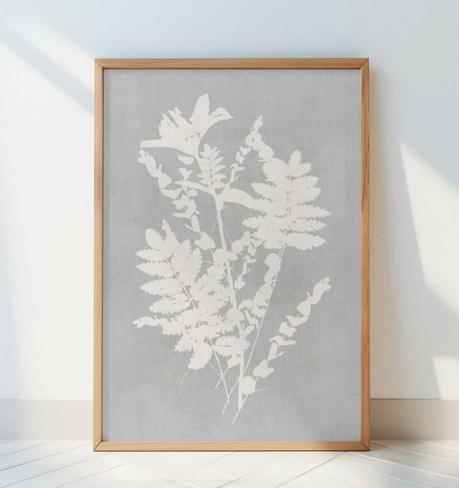 Botanical Illustration 5 Poster och Canvastavla