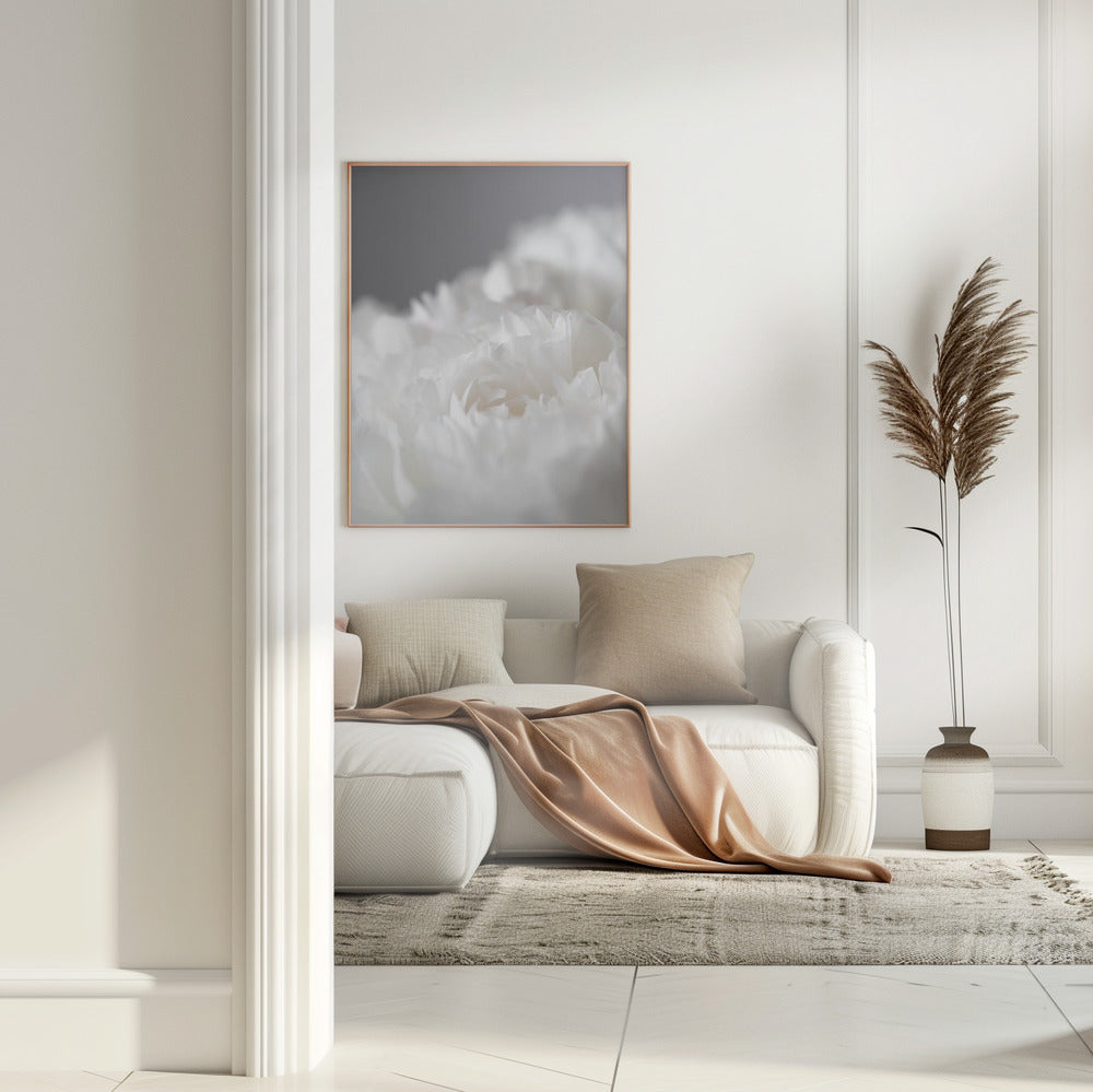 Peony_15 Poster och Canvastavla