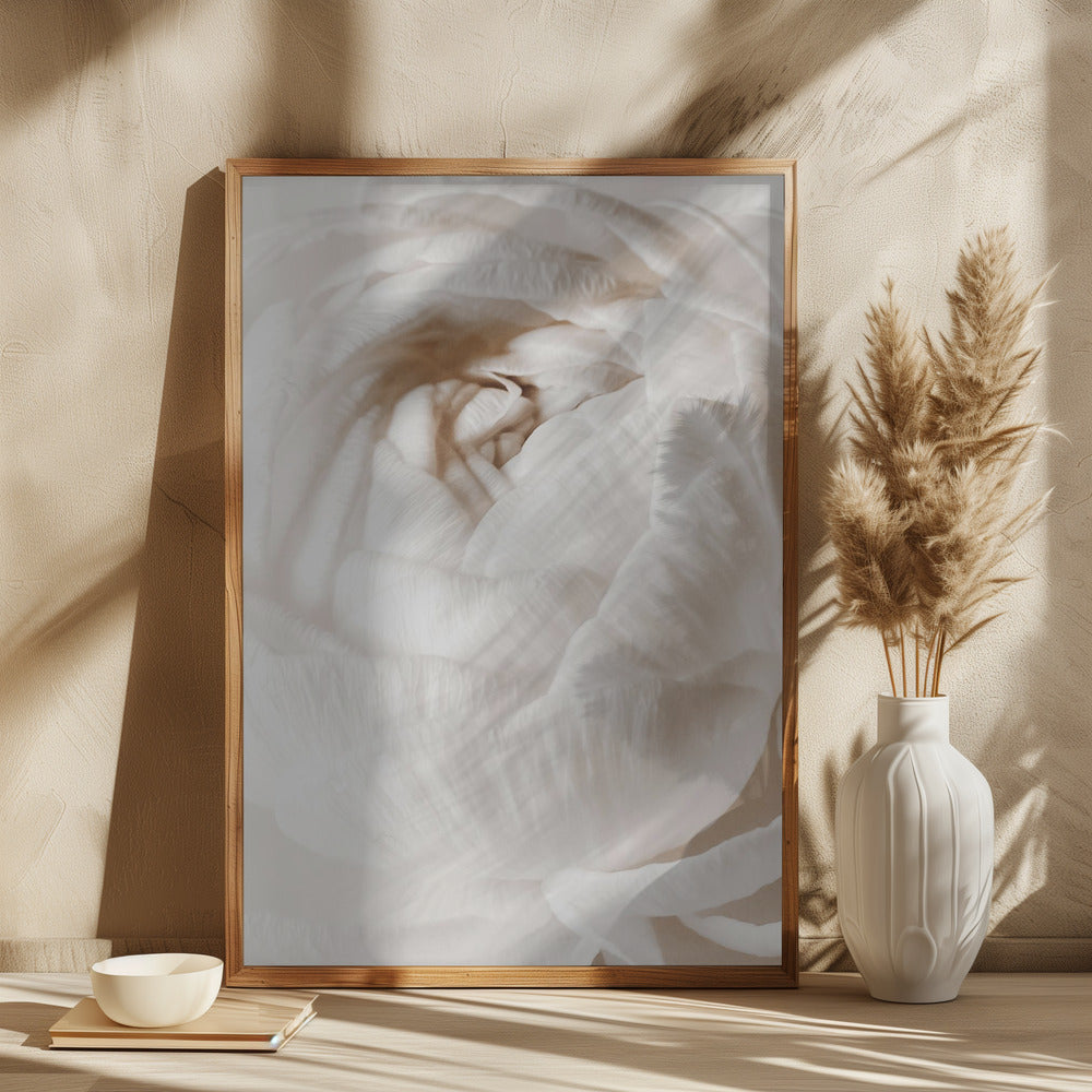 Buttercup Poster och Canvastavla