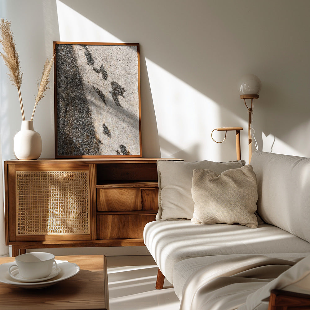 Botanical shadow on the wall Poster och Canvastavla