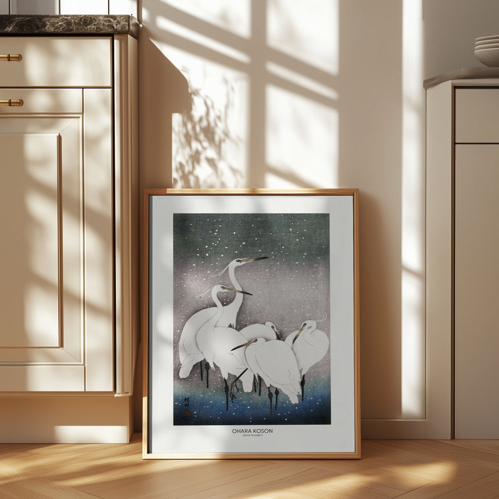 Group Of Egrets Poster och Canvastavla