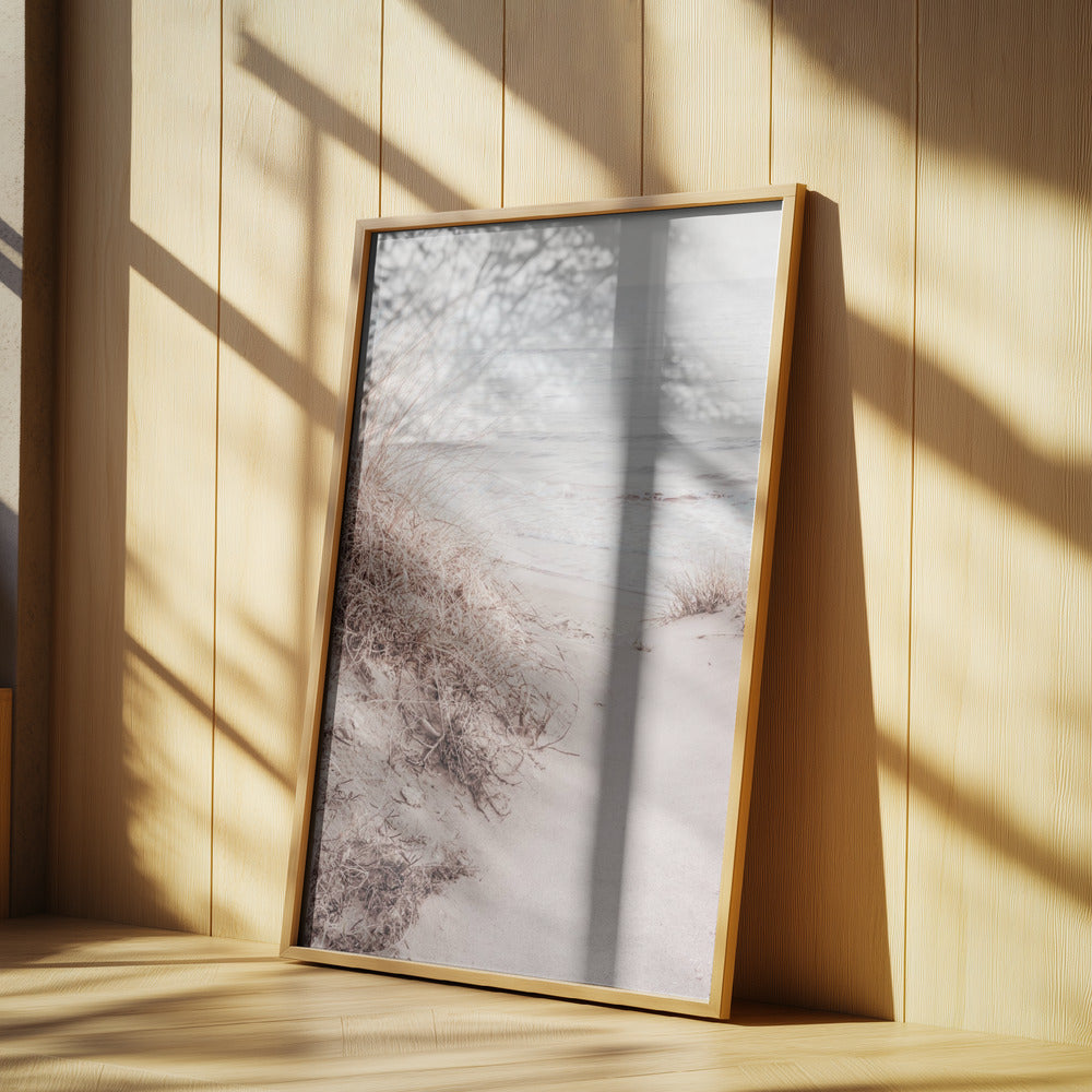 Beach_010 Poster och Canvastavla