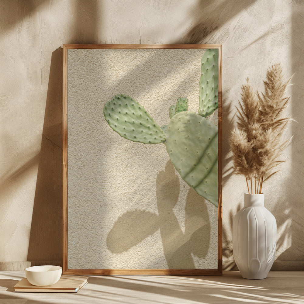 Cacti Shadowplay Poster och Canvastavla