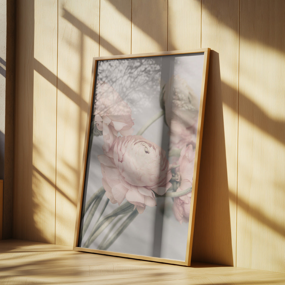 01644 Poster och Canvastavla