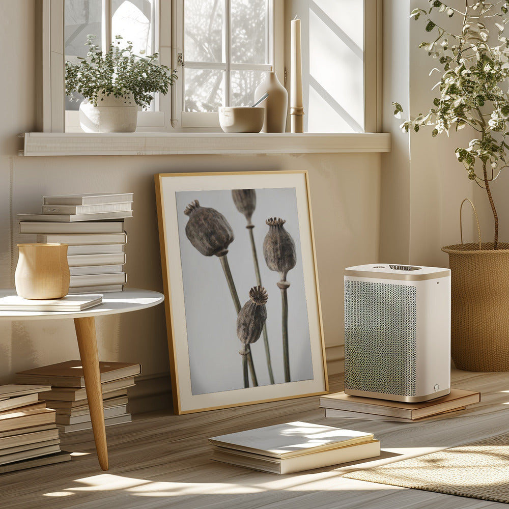 Dried_006 Poster och Canvastavla