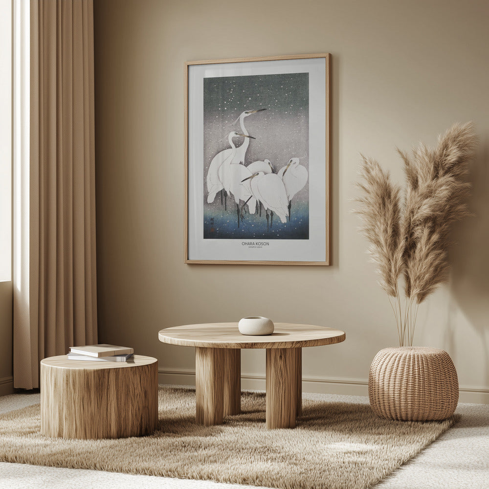 Group Of Egrets Poster och Canvastavla