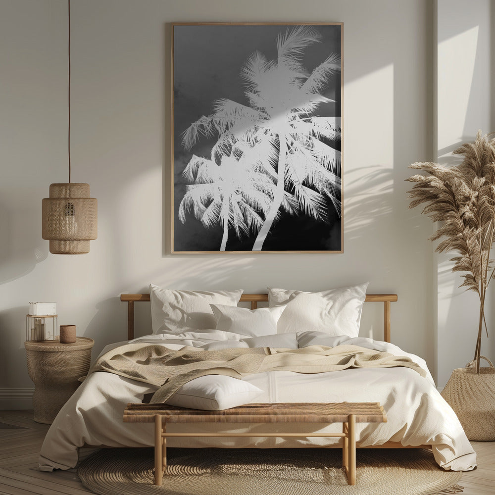 Coco Island No1 Poster och Canvastavla