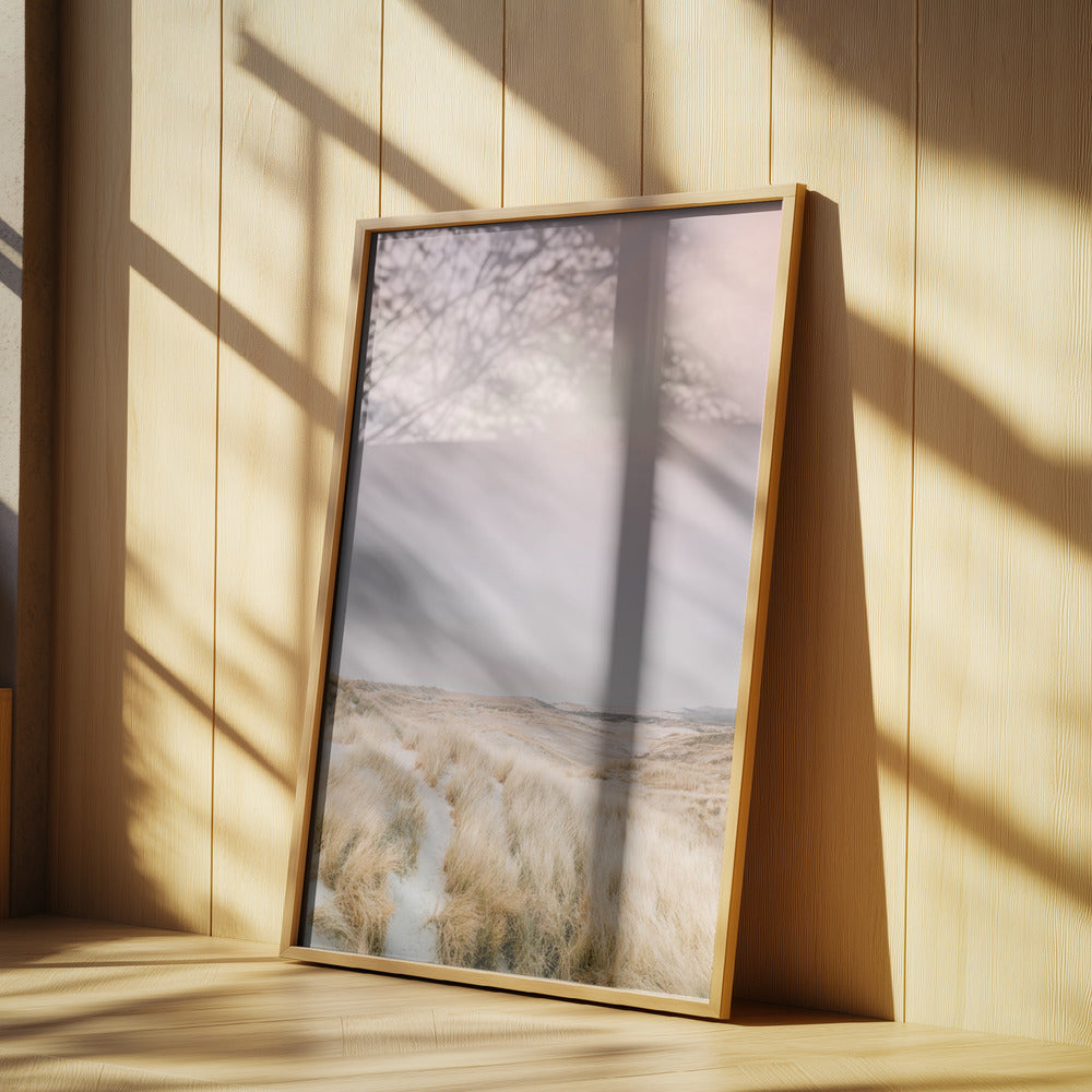 Ameland Dunes 1 Poster och Canvastavla