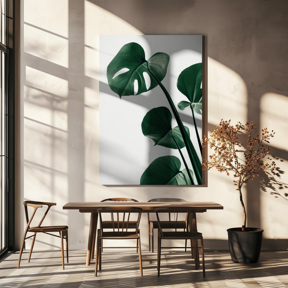 Monstera Natural 38 Poster och Canvastavla