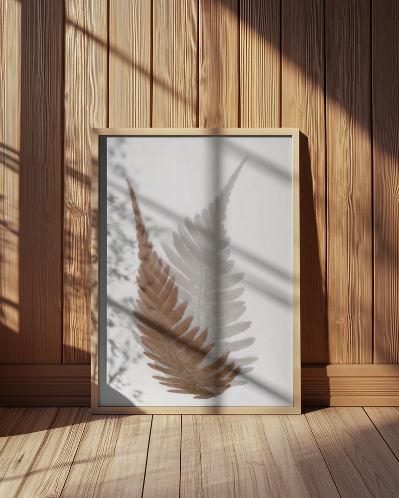 Autumn Fern Poster och Canvastavla