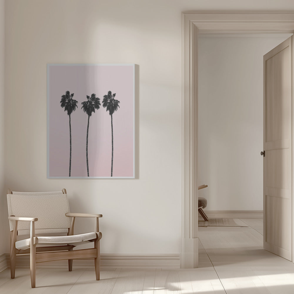 Pinky Palms Poster och Canvastavla