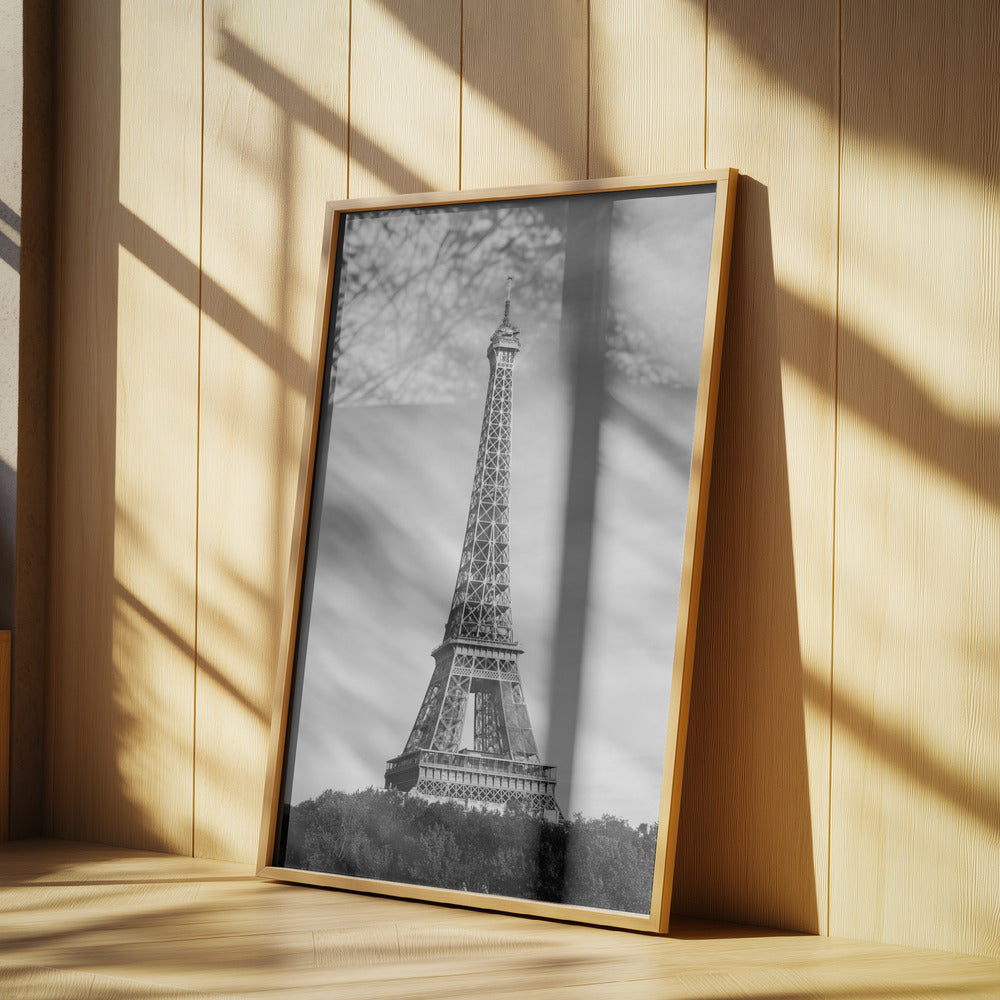 Eiffel Tower - Tour Eiffel Poster och Canvastavla