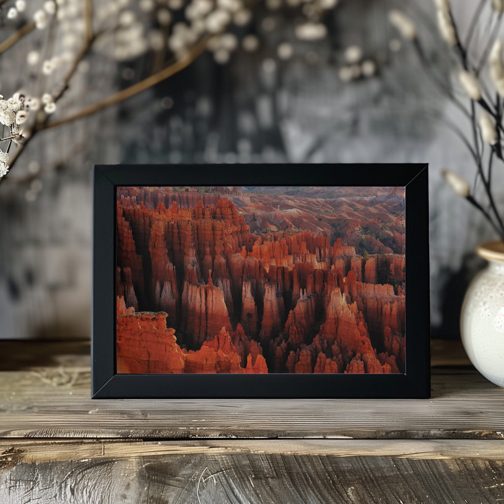 Red City Poster och Canvastavla