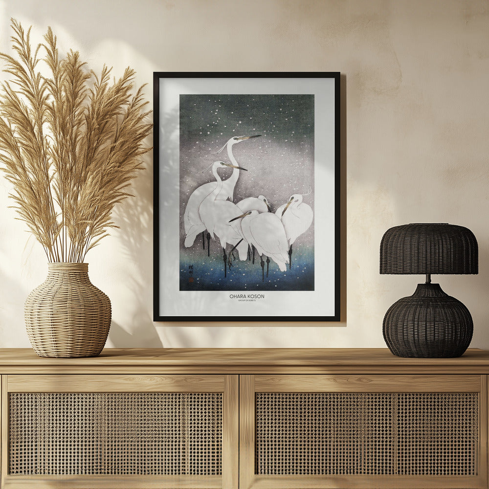 Group Of Egrets Poster och Canvastavla