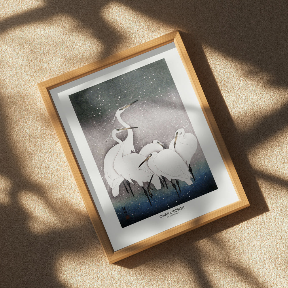 Group Of Egrets Poster och Canvastavla