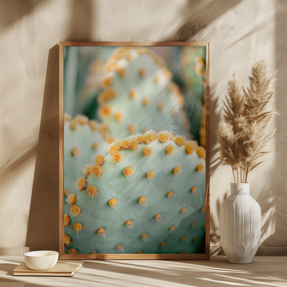 Orange and Green II - Marrakech botanical photography Poster och Canvastavla