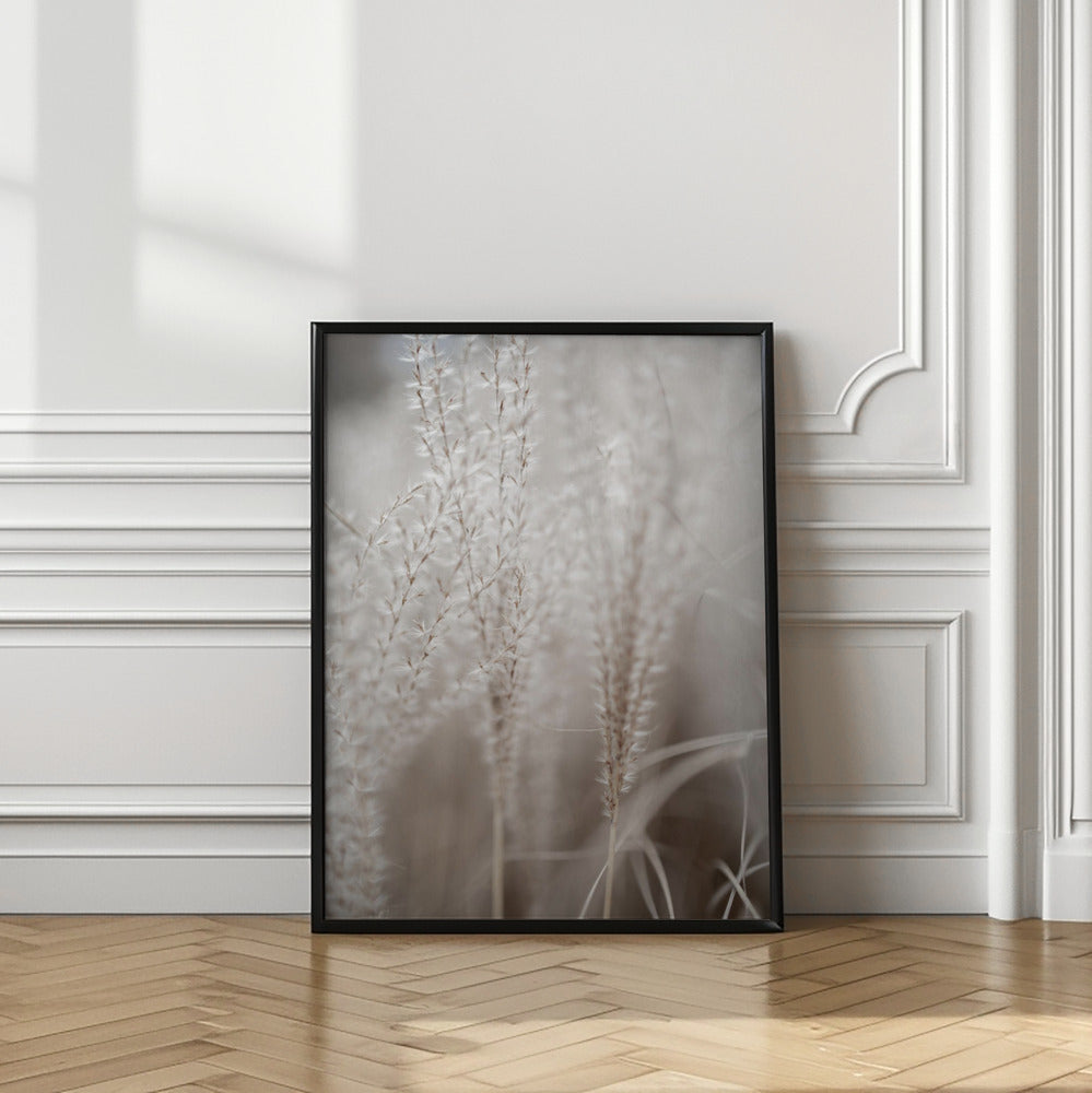 Grass 18 Poster och Canvastavla