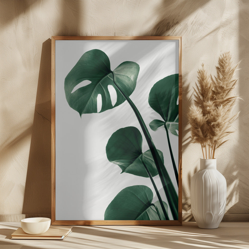 Monstera Natural 38 Poster och Canvastavla
