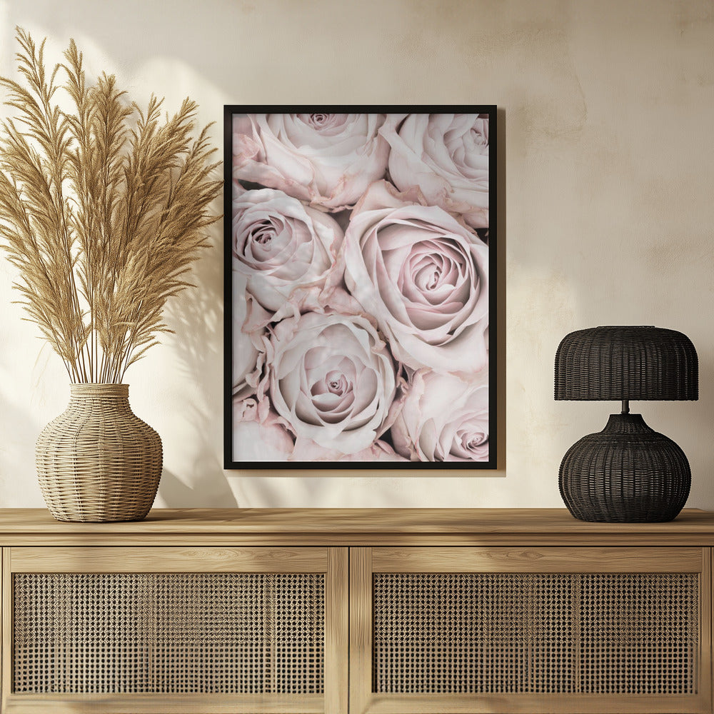 Pink Roses No 01 Poster och Canvastavla