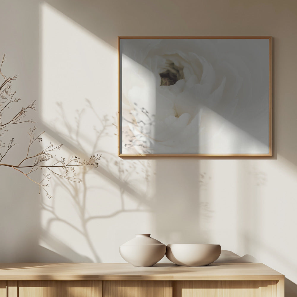 White Flower 02 Poster och Canvastavla