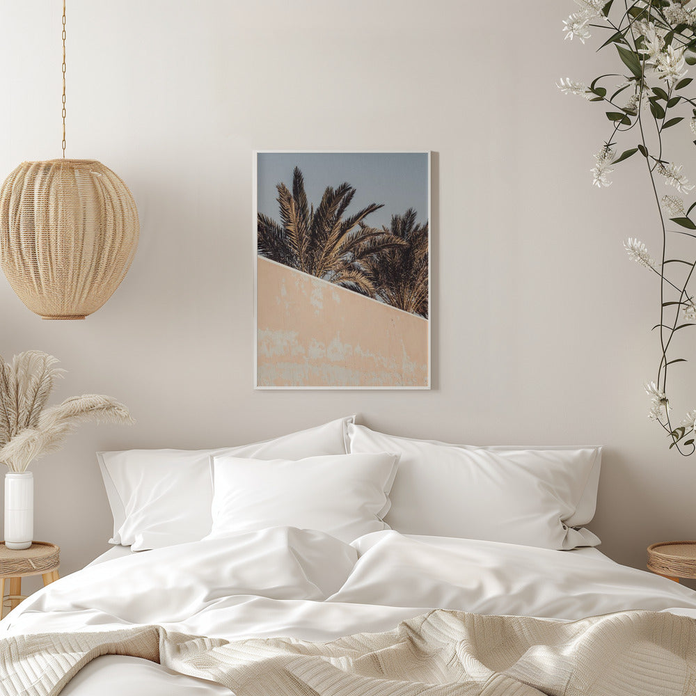 Palm Poster och Canvastavla