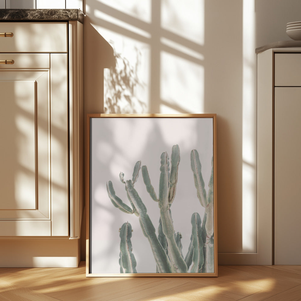 Sunrise Cactus Poster och Canvastavla