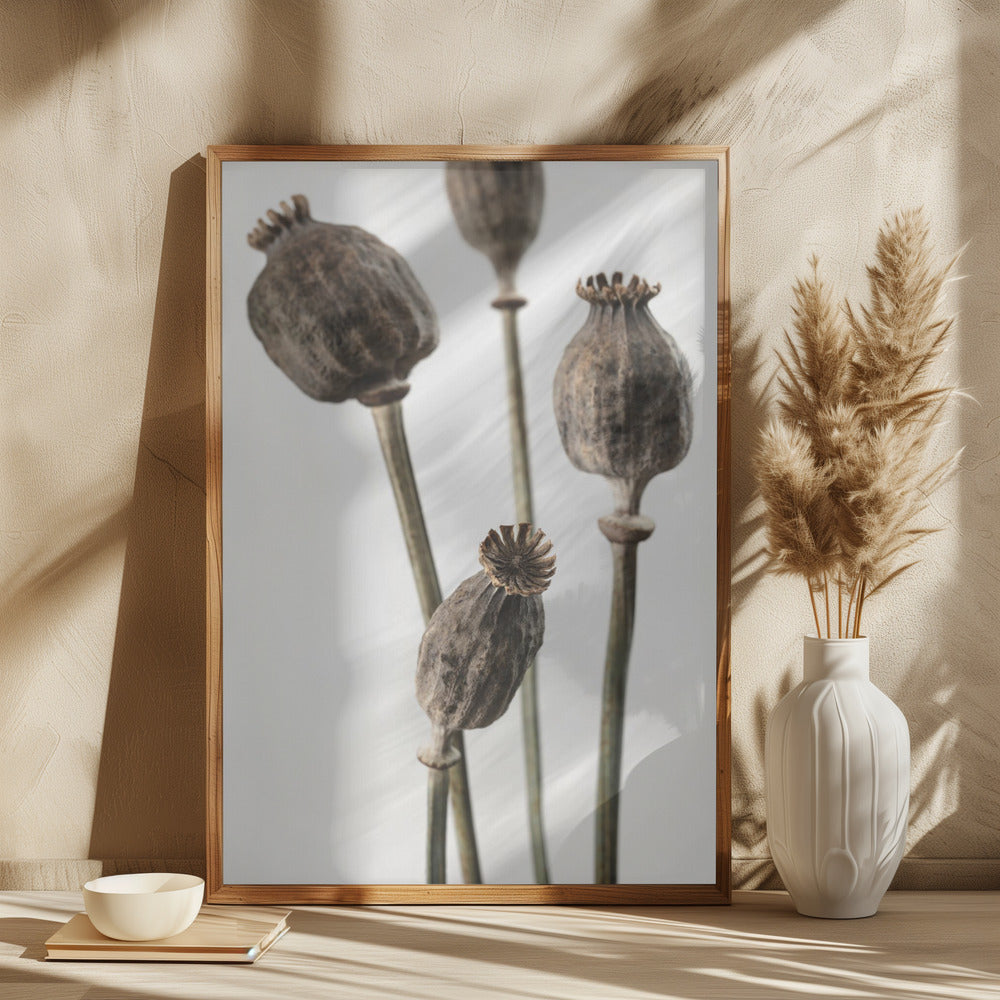 Dried_006 Poster och Canvastavla