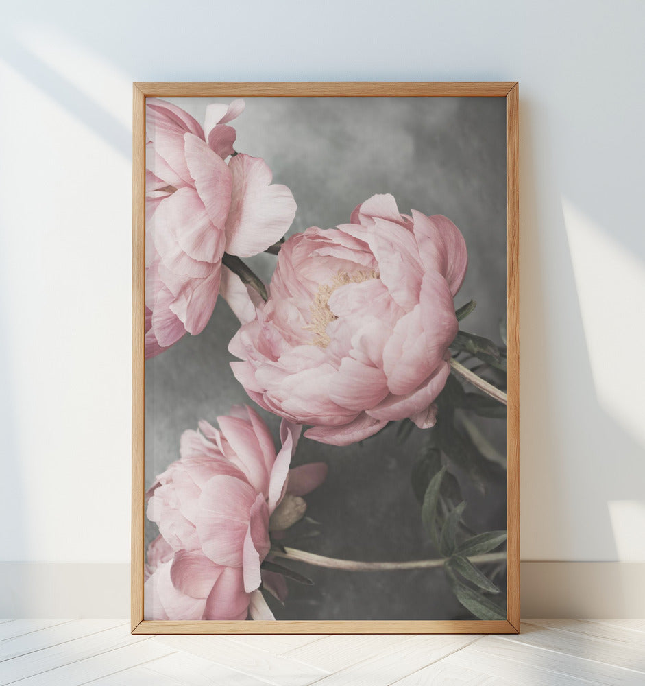 01643 Poster och Canvastavla